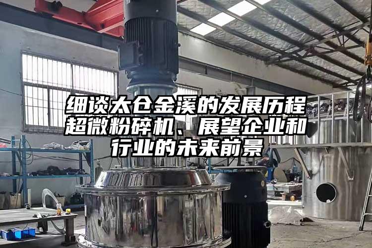 細(xì)談太倉金溪的發(fā)展歷程超微粉碎機、展望企業(yè)和行業(yè)的未來前景